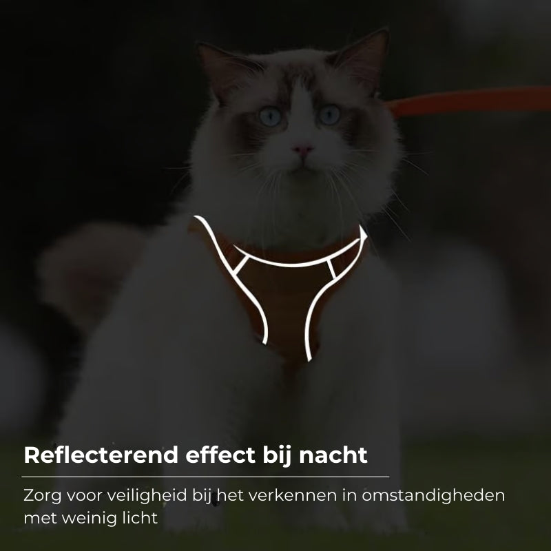 Kattenwandelharnas