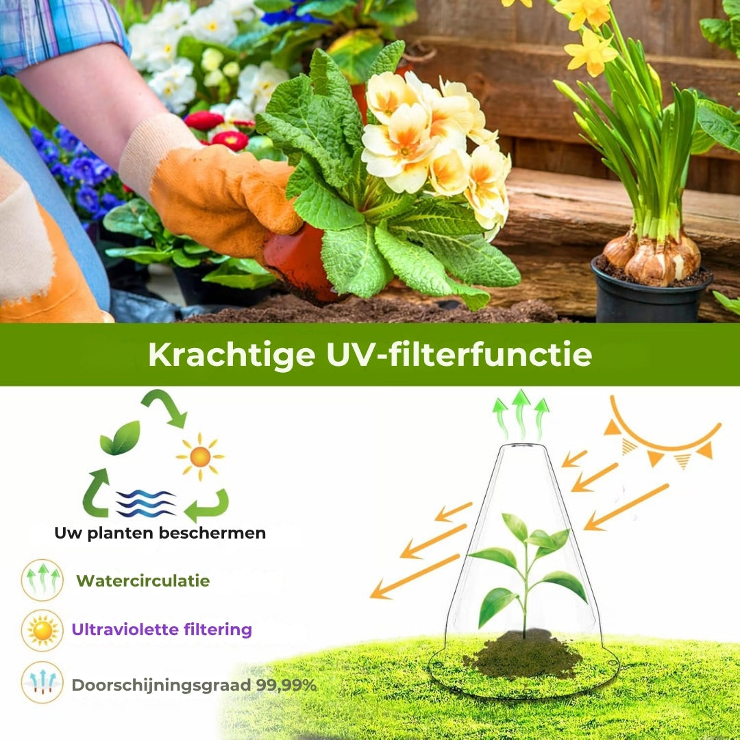 Insectbestendige Beschermhoezen voor Planten - 10 Stuks