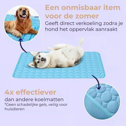 Koelmat voor honden – 4x effectievere verkoeling voor warme zomerdagen ❄️✨