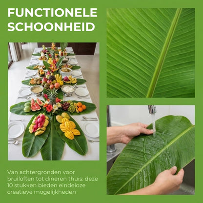 Bananenblad Onderleggers - 6 Stuks