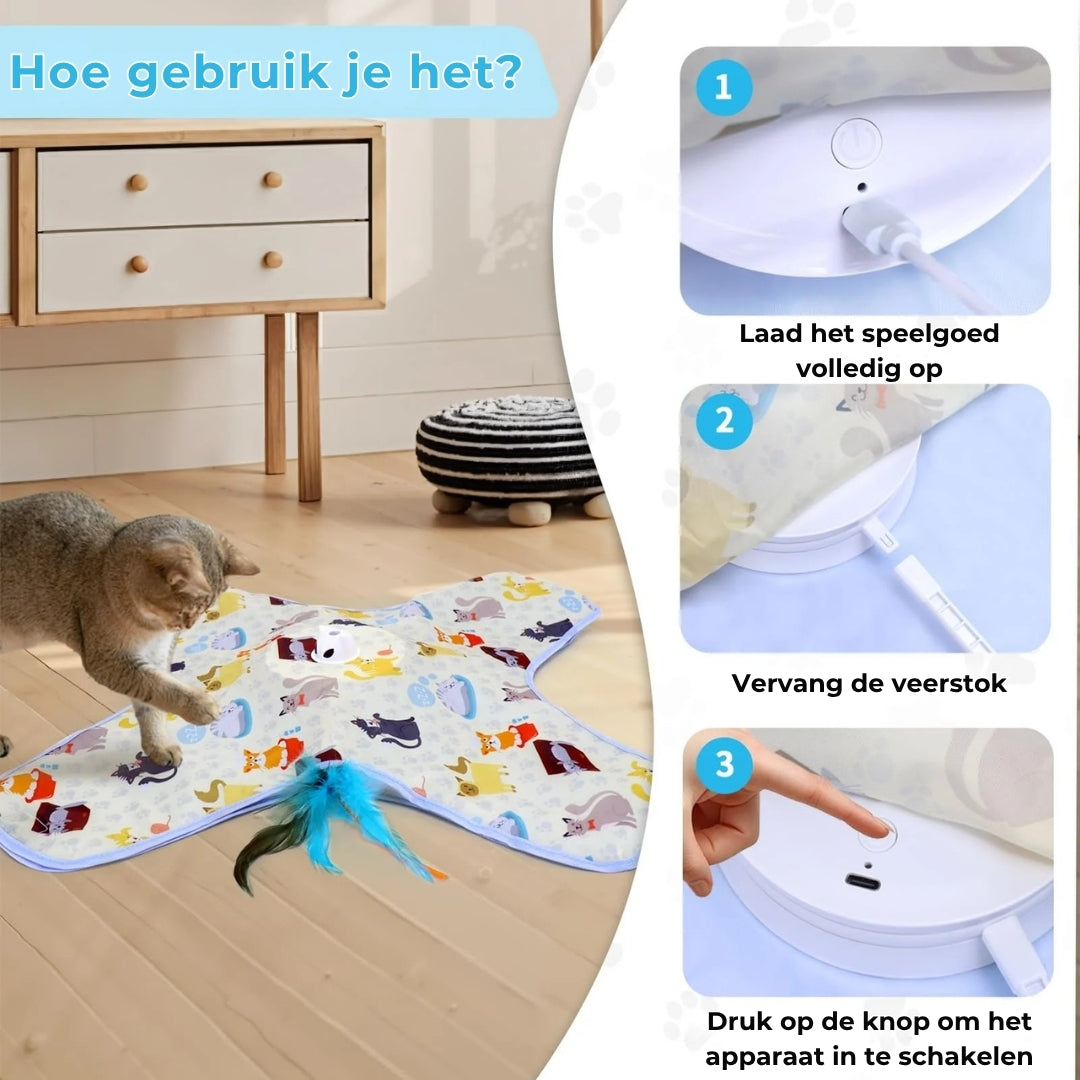 2-in-1 Verstop-en-Zoek Spel voor Katten