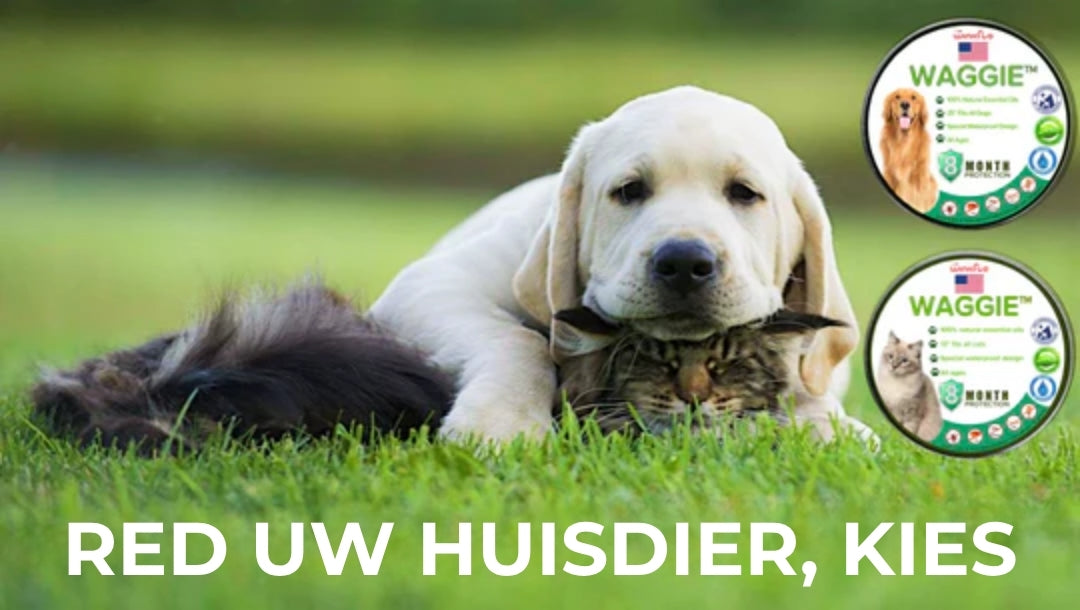 Natuurlijke Vlooien- en Tekenhalsband - Waggie™