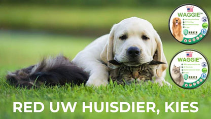 Natuurlijke Vlooien- en Tekenhalsband - Waggie™