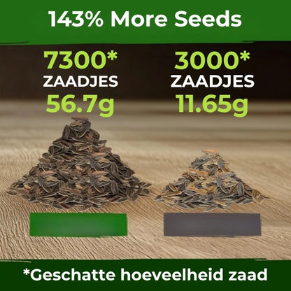 Reuzenzinnia's Zadenmix - 500 Stuks