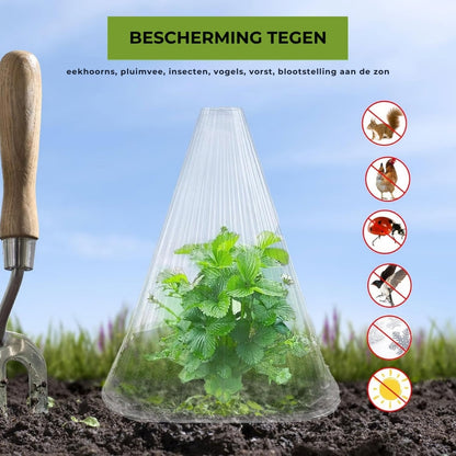 Insectbestendige Beschermhoezen voor Planten - 10 Stuks