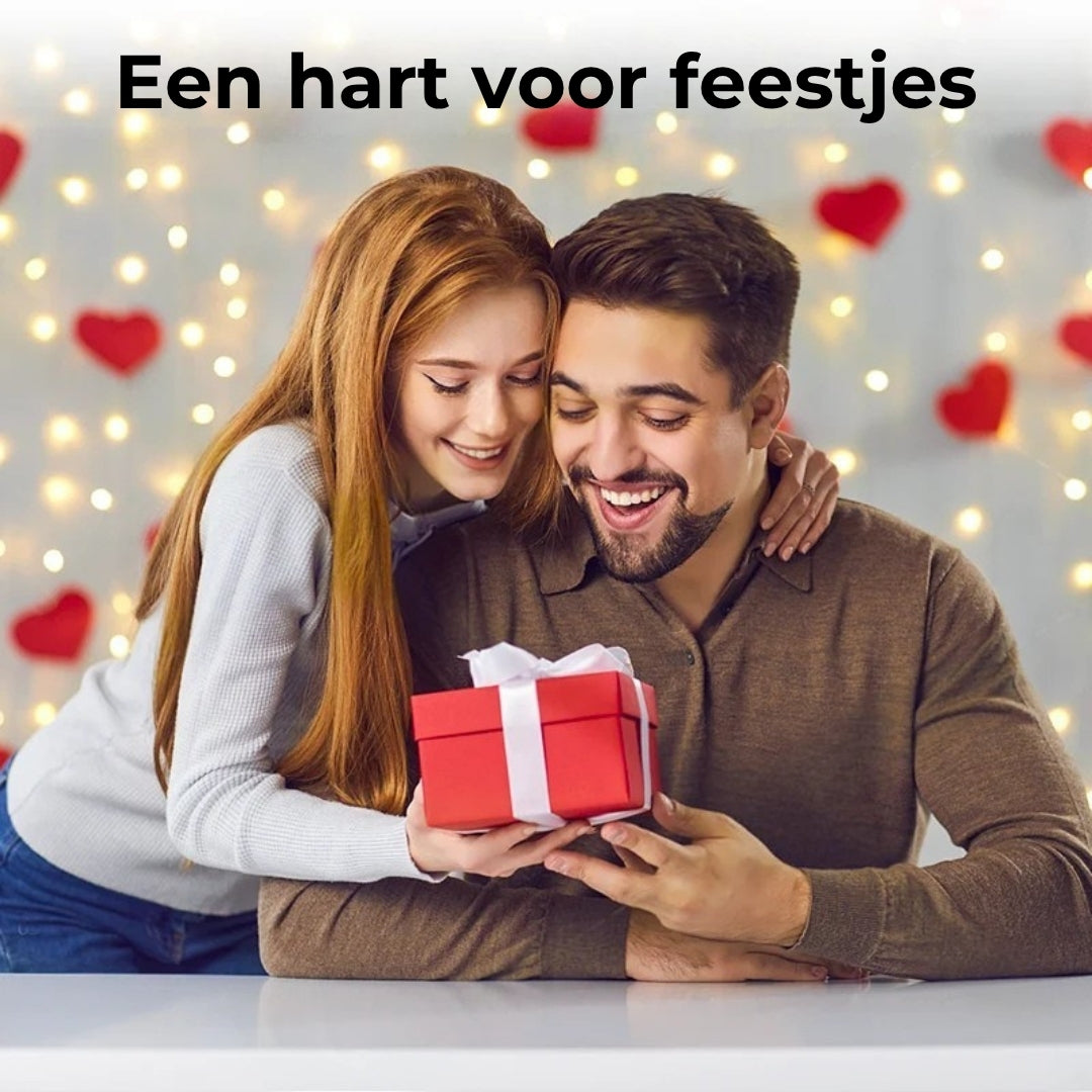 Draaibare Spinnerring van Titaniumstaal met Zirkonia