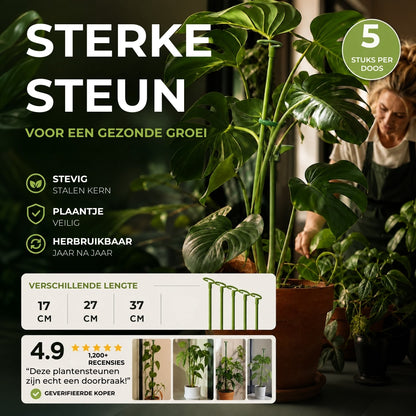 Herbruikbare Plantensteunen - 5 Stuks