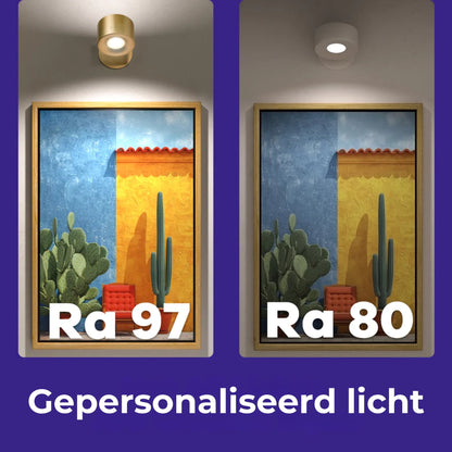 Smart+ Aureool Lampen: universeel bedienbaar