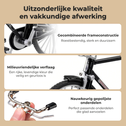1:10 Miniatuur Fietsmodel van Metaal