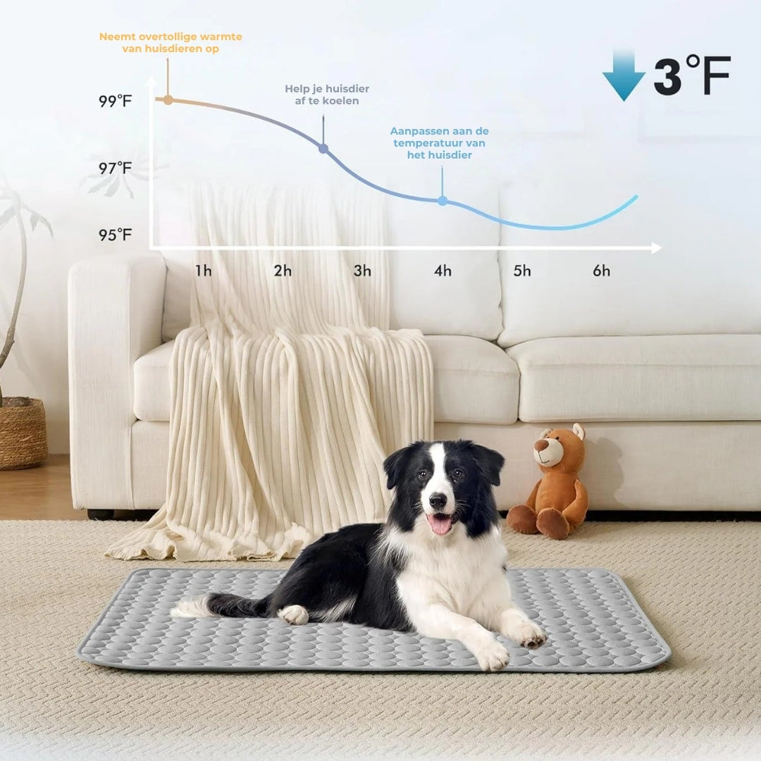 Koelmat voor honden – 4x effectievere verkoeling voor warme zomerdagen ❄️✨