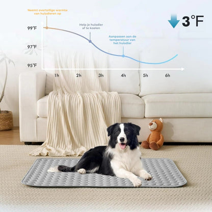 Koelmat voor honden – 4x effectievere verkoeling voor warme zomerdagen ❄️✨