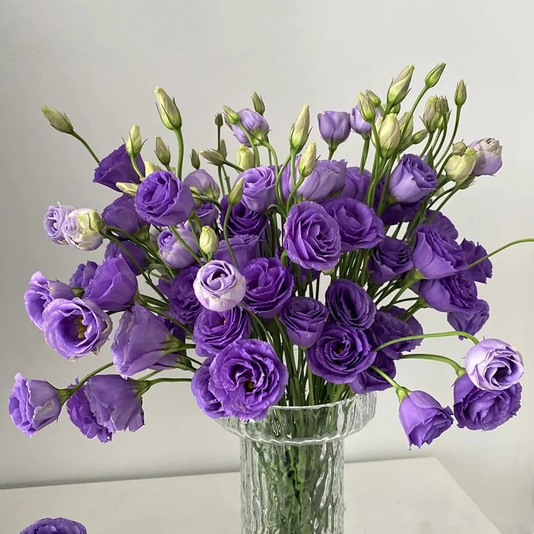 Eustoma Doornloze Rozen Zaden (100 stuks) 💐Lisianthus-zaden