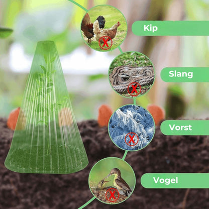 Insectbestendige Beschermhoezen voor Planten - 10 Stuks