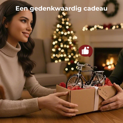 1:10 Miniatuur Fietsmodel van Metaal
