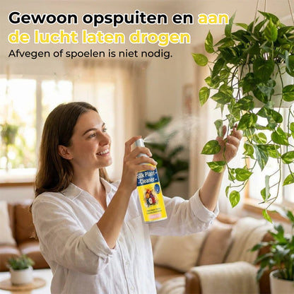 Reinigingsmiddel voor Kunstplanten en -Bloemen