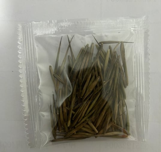 Bamboe Zadenmix - 1000 Stuks