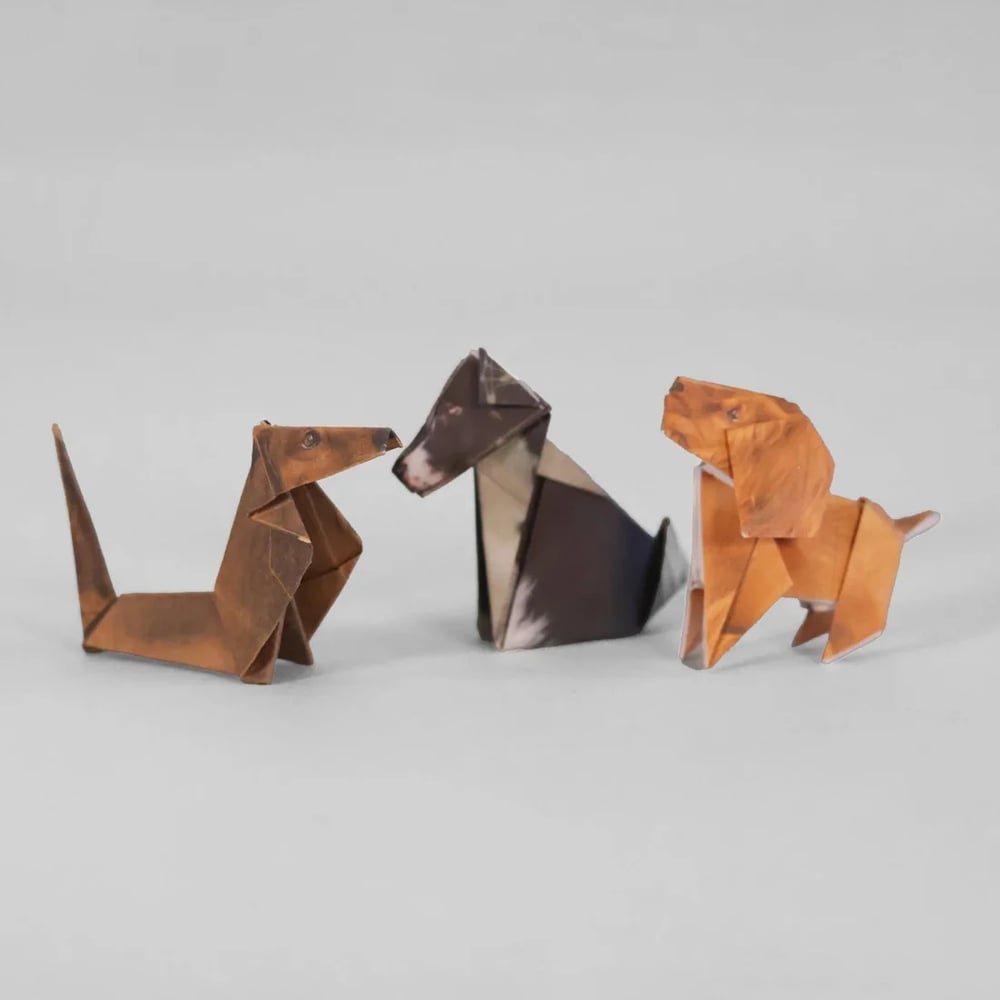 🐱 DIY Papieren Origami Dieren
