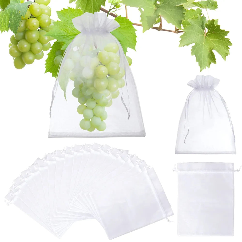 Groenten en Fruit Beschermzakjes - 50 Stuks