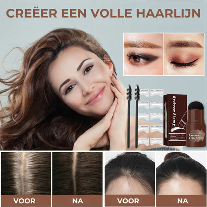 Perfect Brows Set sjablonen en stiften