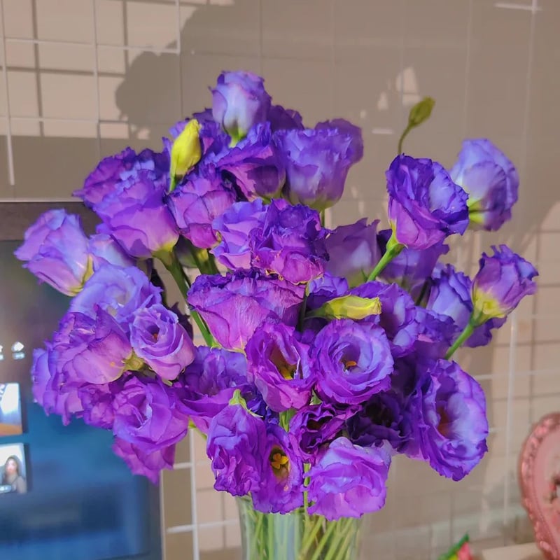 Eustoma Doornloze Rozen Zaden (100 stuks) 💐Lisianthus-zaden