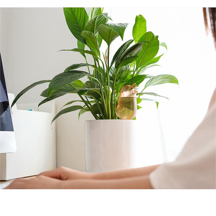 Plantenbewatering Vogel