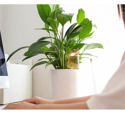 Plantenbewatering Vogel