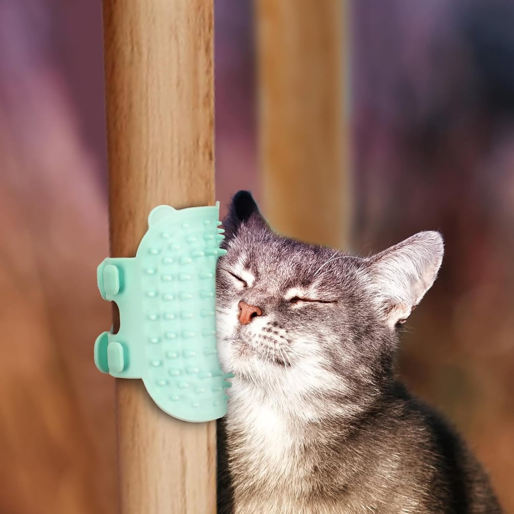 Kattenkriebelborstel