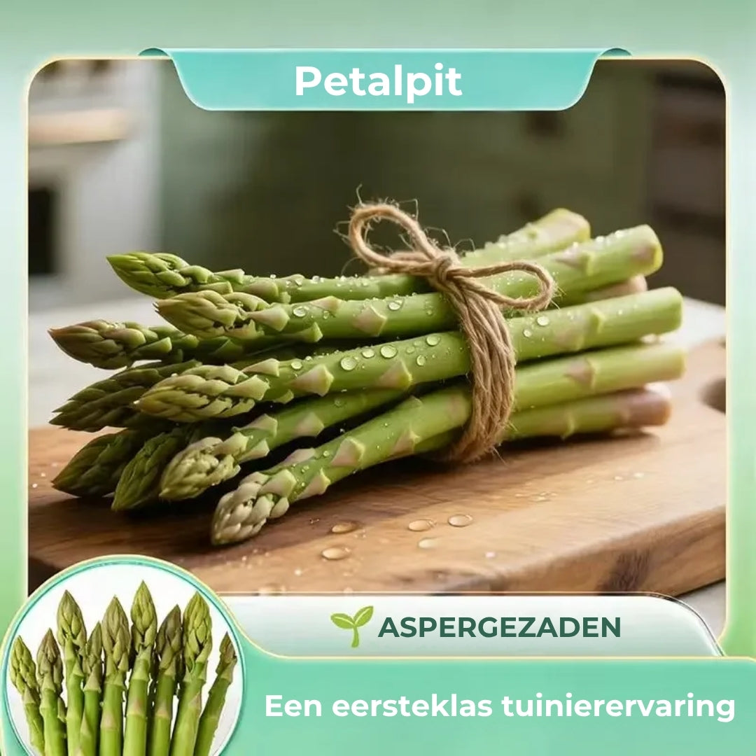 🌱 Kweek je eigen asperges — vers, smaakvol en lang houdbaar (100stuks GMO-vrij)👑