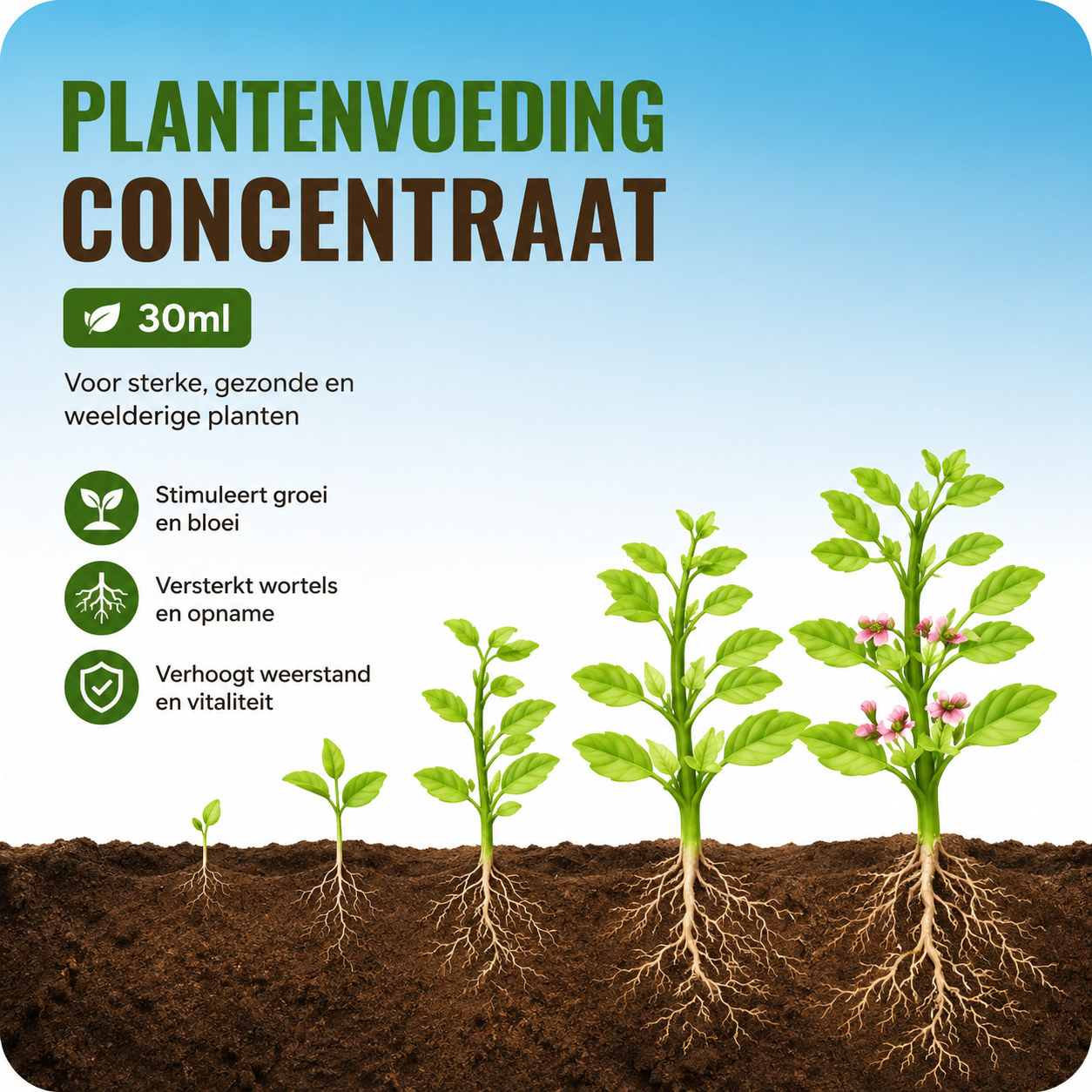 Plantenvoeding Concentraat 30ml