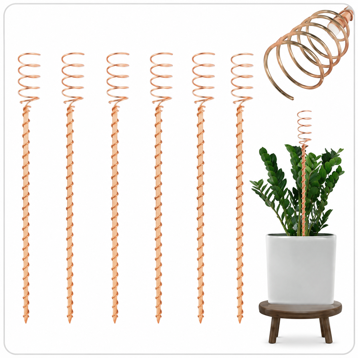 Koperen Elektrocultuurpalen - Groei Bevorderende Plantensteunen - 6 Stuks