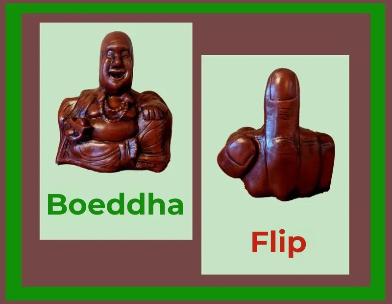 De Boeddha Flip | Onverwachte achterkant🔥