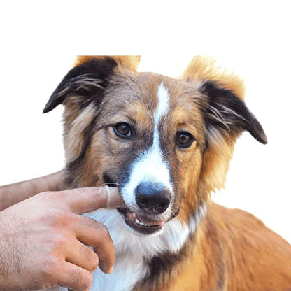 Tandenreinigingsspray voor Huisdieren