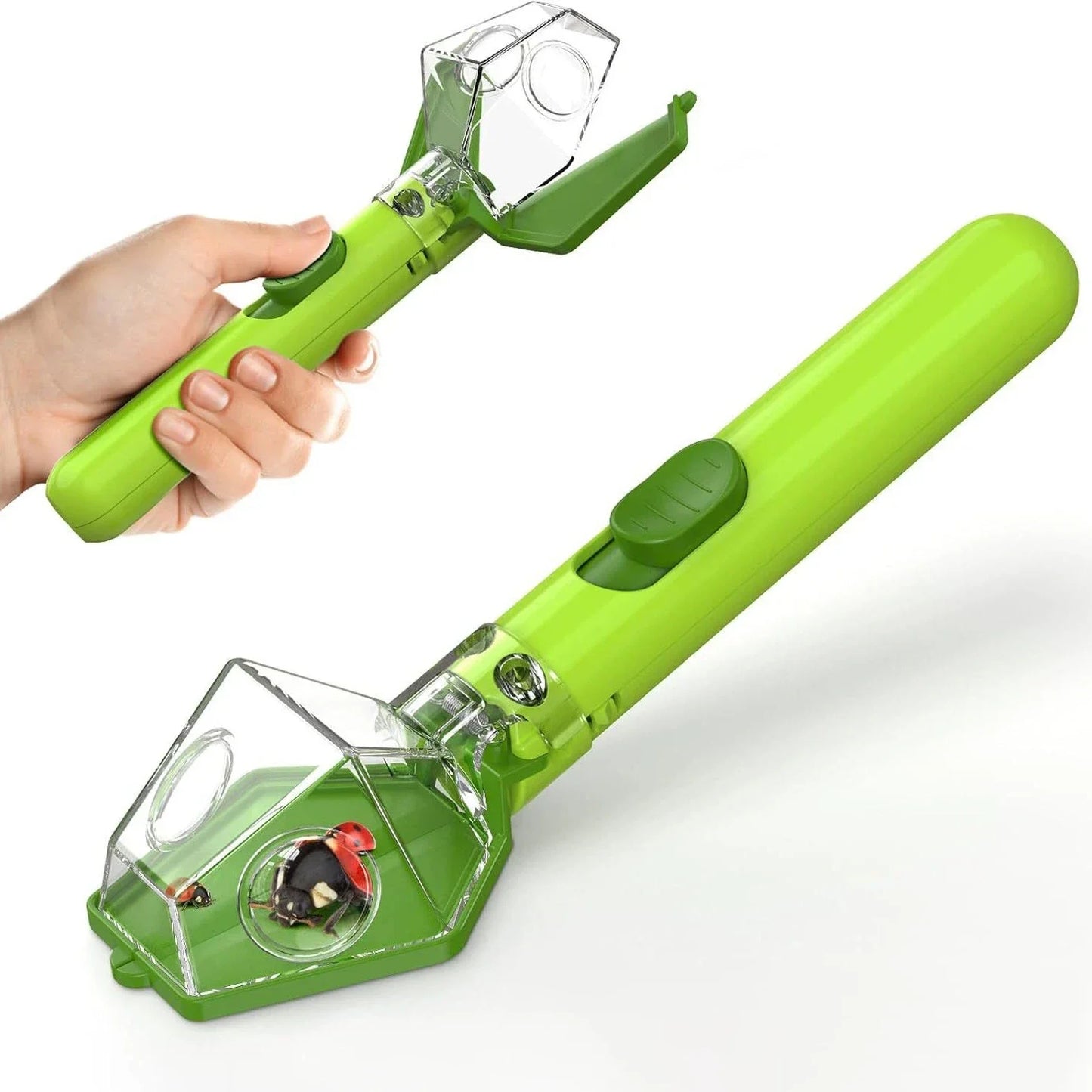 Insecten Vanggereedschap met Vergrootglas