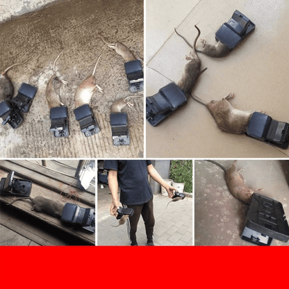 Hoge Sensitieve Muizenval