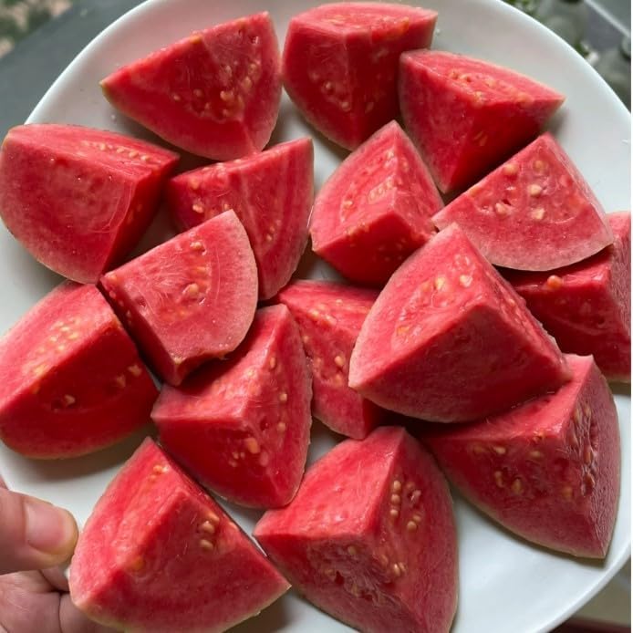 Biologische Roze Guavezaden - 60 Stuks