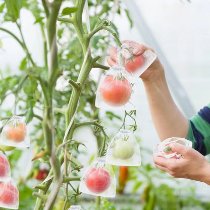 Groenten en Fruit Beschermzakjes - 50 Stuks