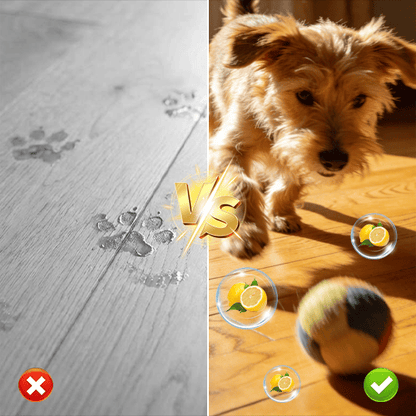 Floor Cleaning Tablets – Efficiënte Vloerreinigingstabletten (12st)