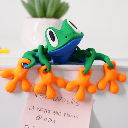 🐸 Magnetische Kikker Koelkastmagneet
