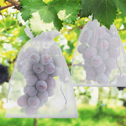Groenten en Fruit Beschermzakjes - 50 Stuks