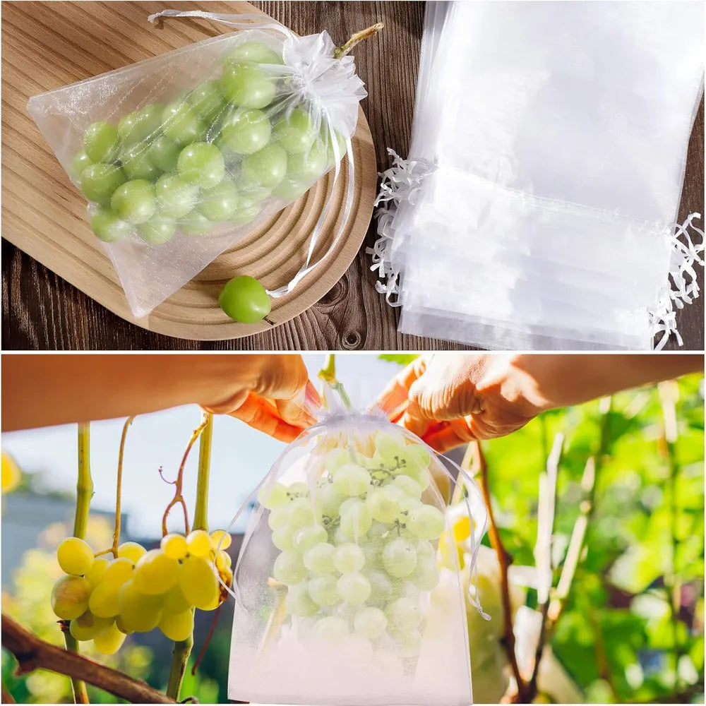 Groenten en Fruit Beschermzakjes - 50 Stuks