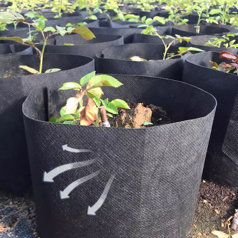 Geotextiele Kweekzak | Microgeperforeerd voor Gezonde Wortels & Planten