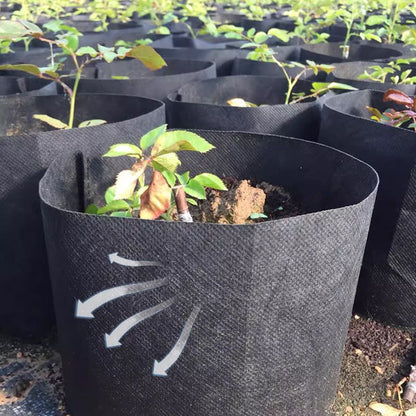 Geotextiele Kweekzak | Microgeperforeerd voor Gezonde Wortels & Planten