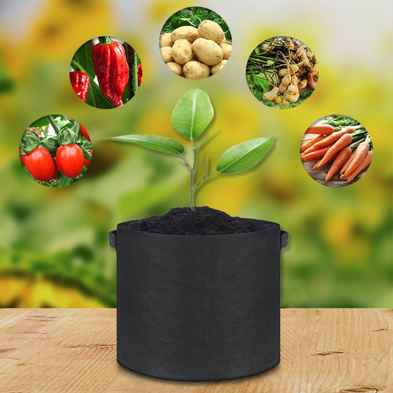 Geotextiele Kweekzak | Microgeperforeerd voor Gezonde Wortels & Planten