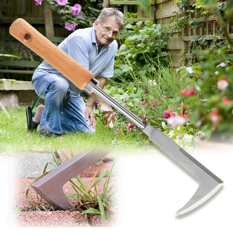 Onkruidverwijdering Steekgereedschap - Hout + RVS