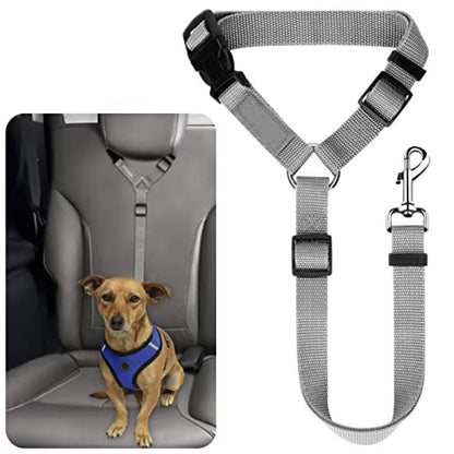 2-in-1 Honden Veiligheidsgordel en Leiband