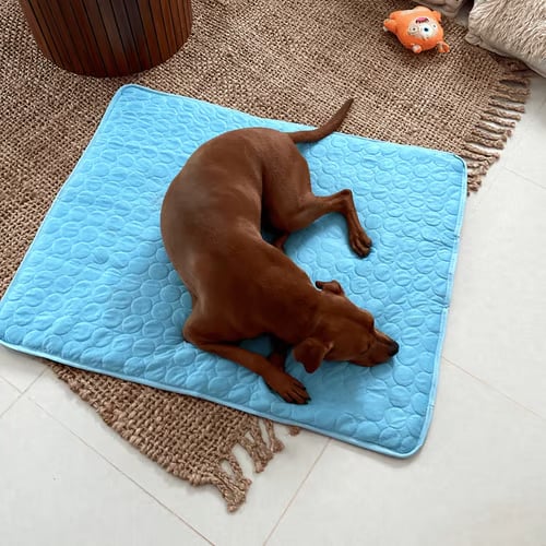 Koelmat voor honden – 4x effectievere verkoeling voor warme zomerdagen ❄️✨