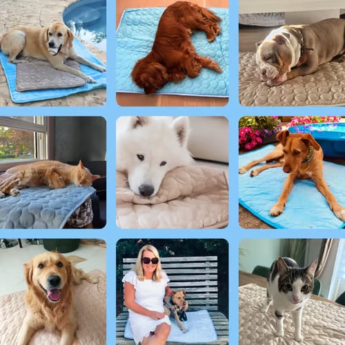 Koelmat voor honden – 4x effectievere verkoeling voor warme zomerdagen ❄️✨