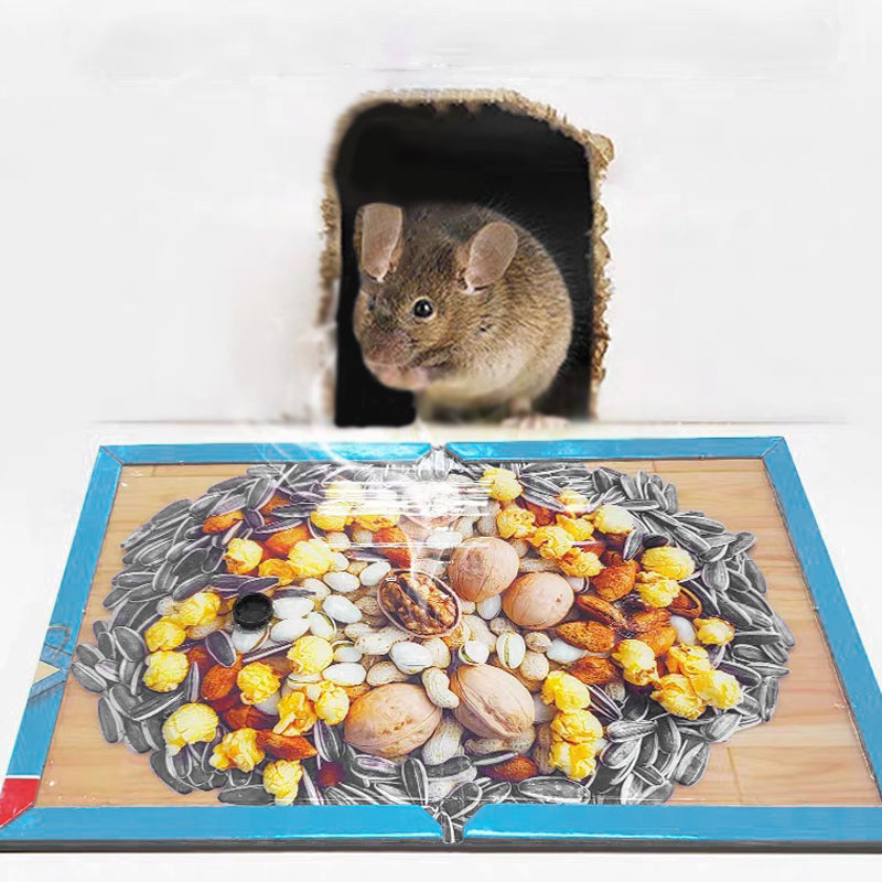 Wegwerp Muizenlijmval
