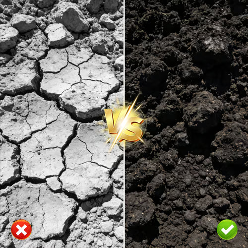 Soil Pro Activator – Bodemverbeteraar voor Gezonde Plantengroei