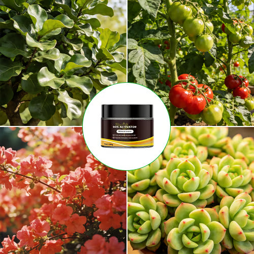 Soil Pro Activator – Bodemverbeteraar voor Gezonde Plantengroei